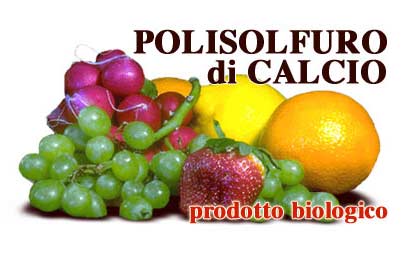 polisolfuro di calcio