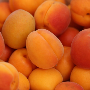 albicocche